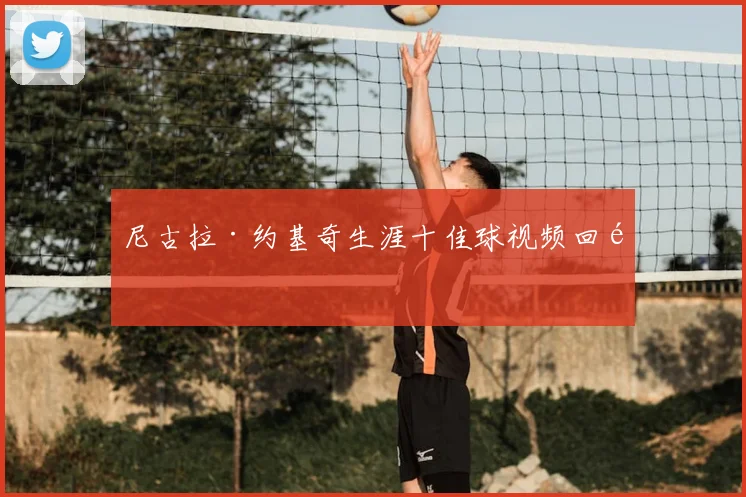 尼古拉·约基奇生涯十佳球视频回顾