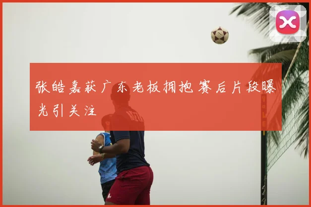 张皓嘉获广东老板拥抱 赛后片段曝光引关注