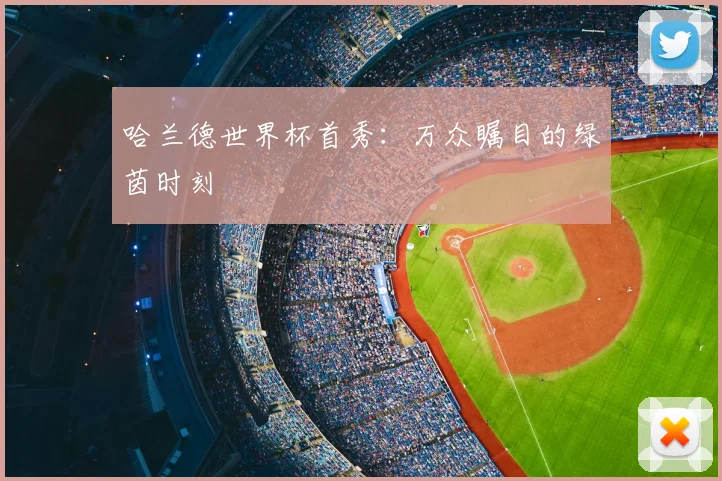 哈兰德世界杯首秀:万众瞩目的绿茵时刻